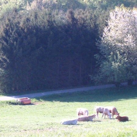 Ferienwohnung Erika Wimbach Esterno foto