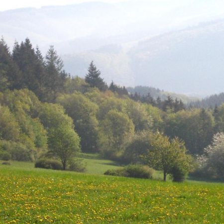 Ferienwohnung Erika Wimbach Esterno foto