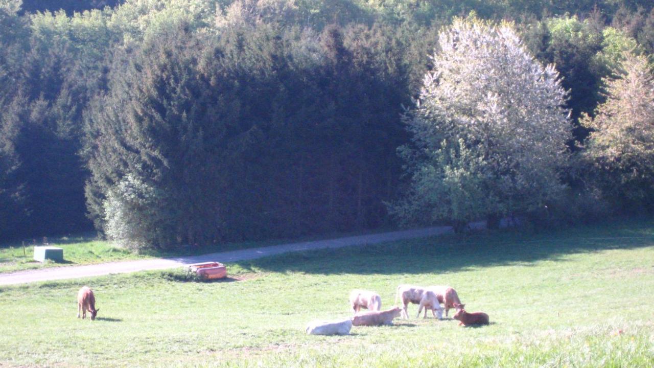 Ferienwohnung Erika Wimbach Esterno foto